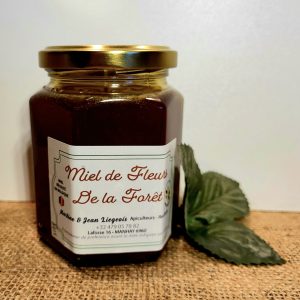 Foret 2025 1