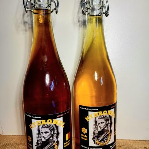 Hydromel 2025 1