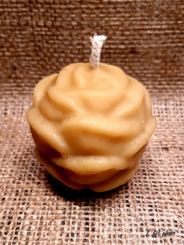 Pomme-de-Pin-1.jpg