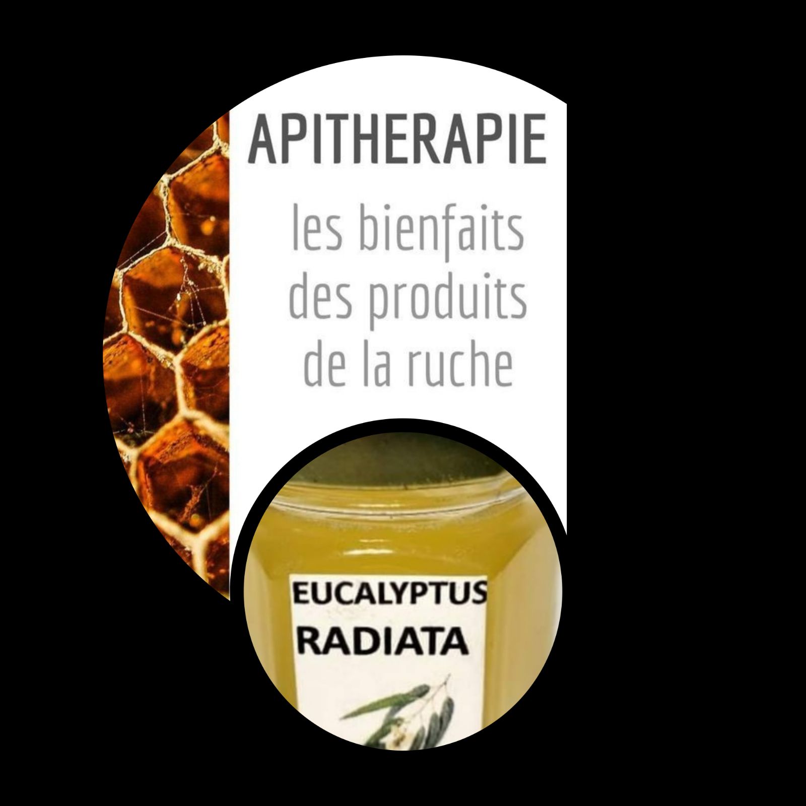 Radiata 1