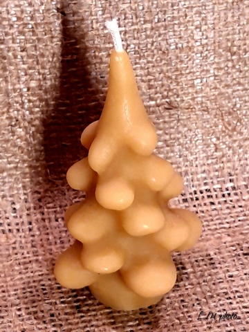Sapin 1