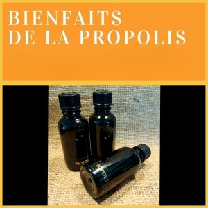 Propolis dans l'alcool à 96% (30ml) .