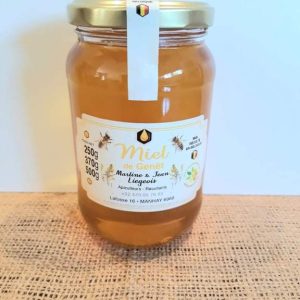 Miel de Fleurs de Genêts : Récolté au Printemps